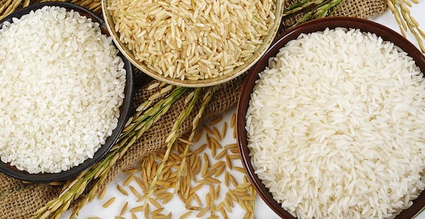 قیمت خرید برنج طارم محلی اعلا با فروش عمده